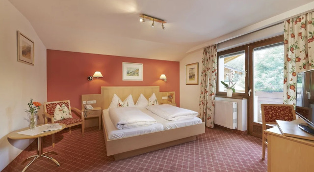 Двухместный номер Standard c 1 комнатой с балконом и с видом на горы Hotel Steiger