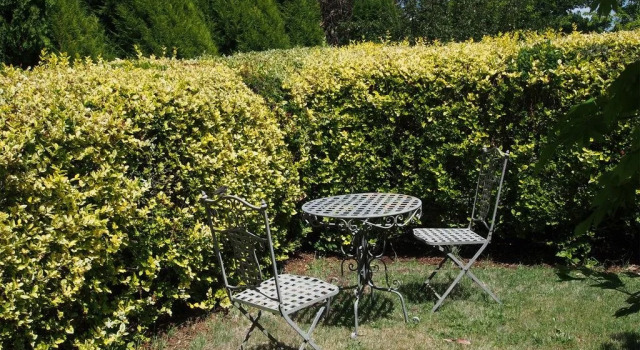 Tahara Cottage, Book Vacation Home Deloraine Tasmania