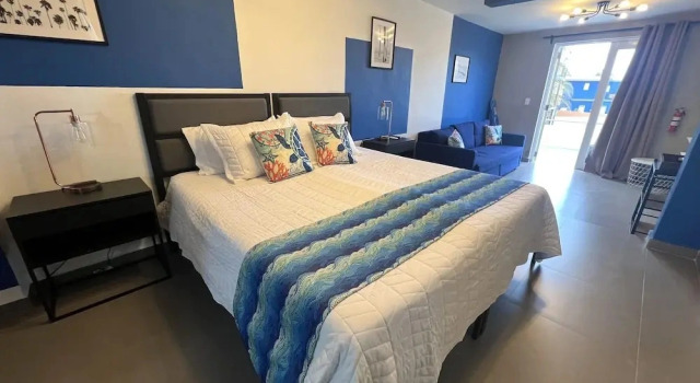 Deluxe suite 1 chambre The Surfing Turtle