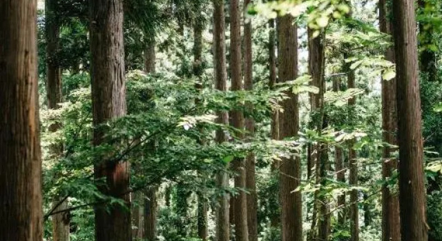 SUNNSNOW Loghouse, Prenota Hotel Otari 
