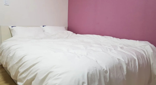 Двухместный номер Standard Bluemoon Guest House - Hostel