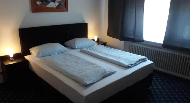 Двухместный номер Standard Hotel Elsenztal