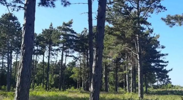 Коттедж 5 Person Holiday Home in Rorvig