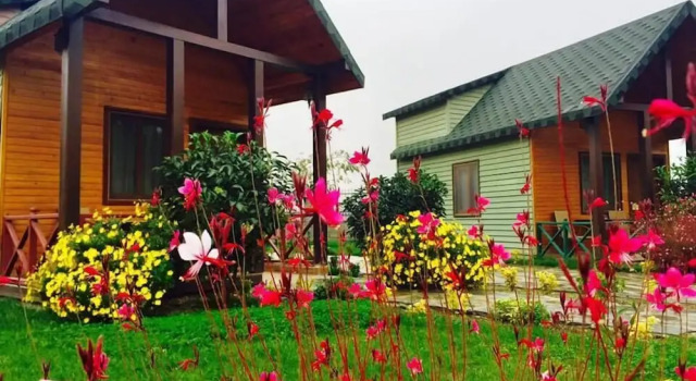 Коттедж Classic Kalipso Park Butik Otel