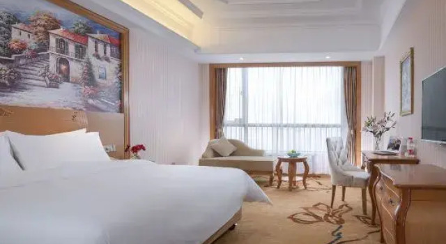 Люкс Executive Vienna International Hotel (Hezhou Zhaoping Government Affairs Center)