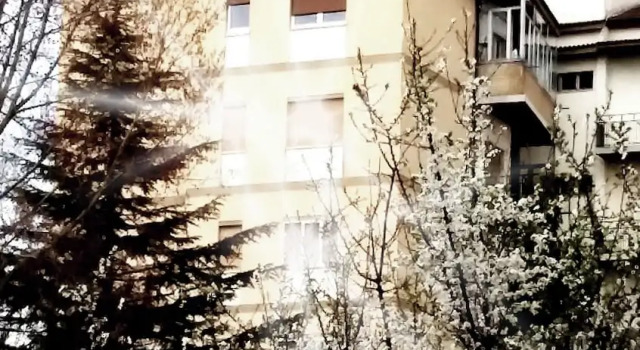Flower Bed & Breakfast