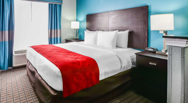 Двухместный люкс Comfort Suites Tampa - Brandon