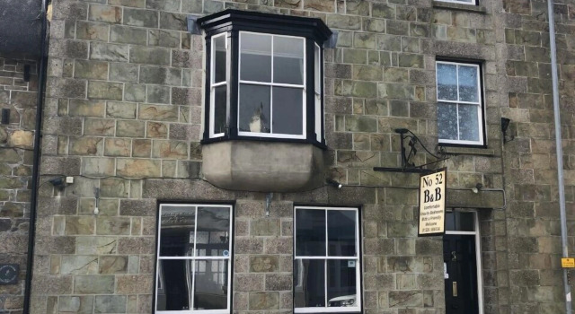 Number 52 Bed & Breakfast
