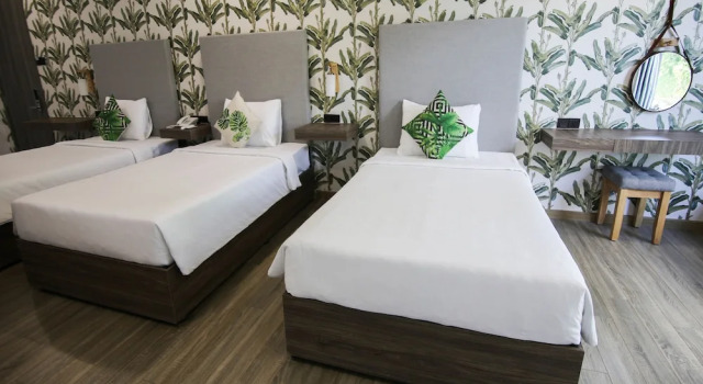 Трёхместный номер Standard Green Oasis Hotel
