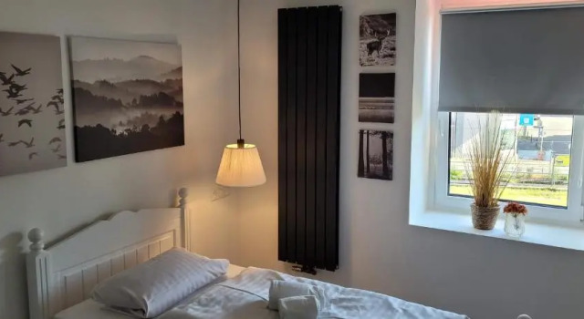 Номер Standard Hotel Hoppe
