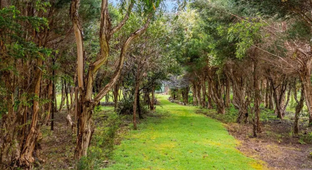 Коттедж Lumeah Retreat Bruny Island