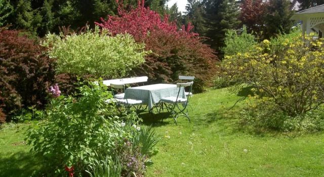 Pension Waldesblick, Boek Hotel Hotels in Thüringen met parkeren, Parkeren
