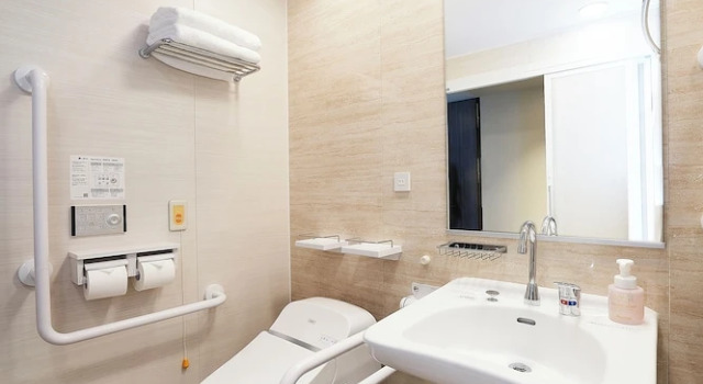 Двухместный номер Universal Keisei Richmond Hotel Tokyo Kinshicho