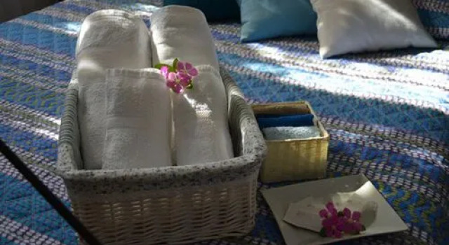 B&B Il Tulipano