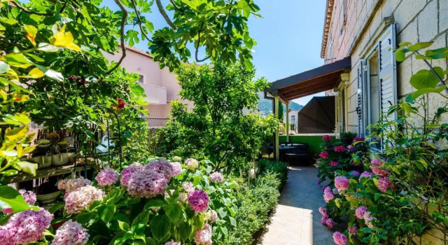 Номер Standard Apartments & Room Frane