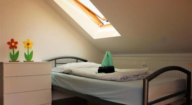 Zentral gelegene Wohnung nahe Schwanenteich, Забронировать Апартаменты/квартира Цвиккау Саксония
