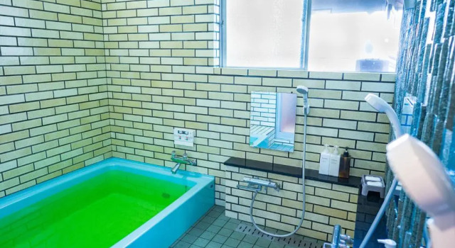 Номер Economy Ryokan Fuji Heights