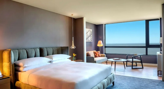 Двухместный номер с видом на реку Hyatt Centric Montevideo