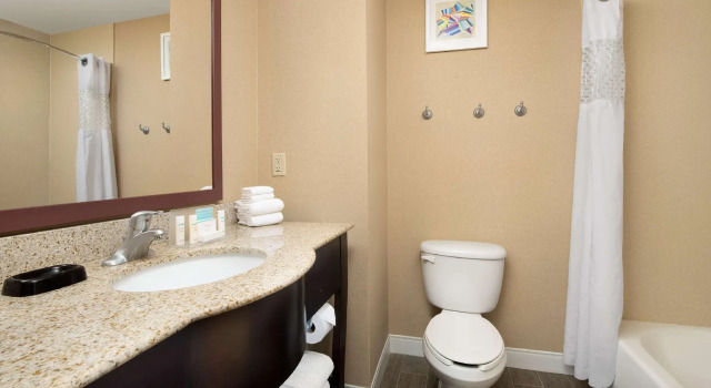 Двухместный люкс Hampton Inn & Suites Lakeland-South Polk Parkway