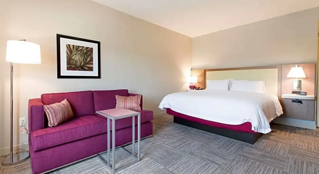 Двухместный люкс Hampton Inn & Suites Walterboro