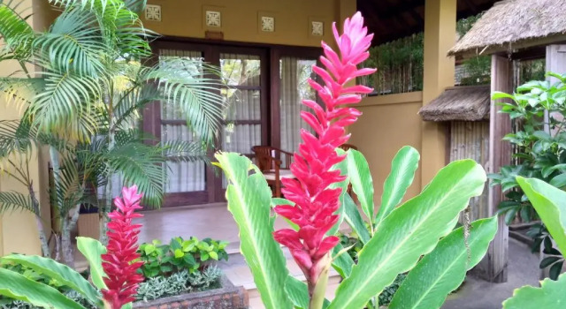 Двухместный номер Standard Ubud Lestari Bungalows