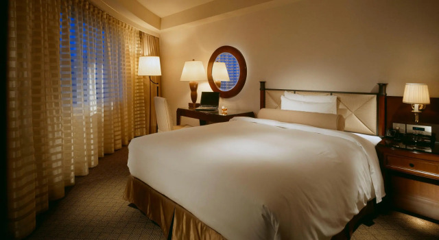 Одноместный номер Standard Miyako Hotel Gifu Nagaragawa