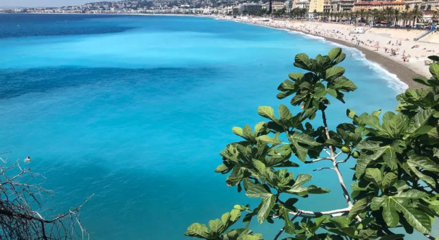 Апартаменты Appt à 150m de la mer