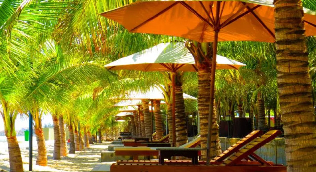 Номер Executive с 2 комнатами Gold Rooster Resort