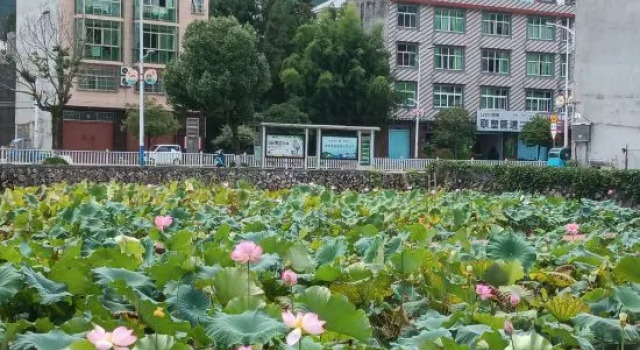 Shiguan Hepan Homestay, Prenota Hotel Ningde Monte Fuji