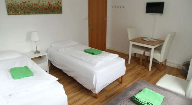 Номер Standard Olga Guesthouse