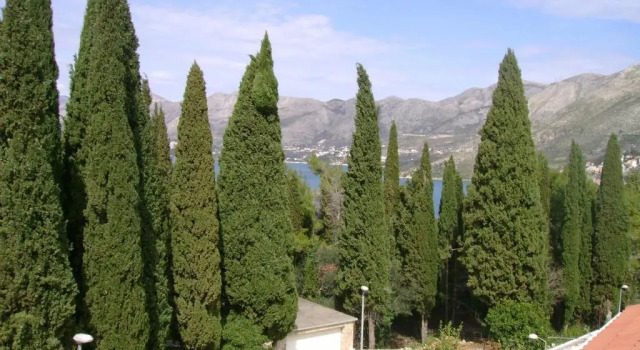 Студия Villa Anka