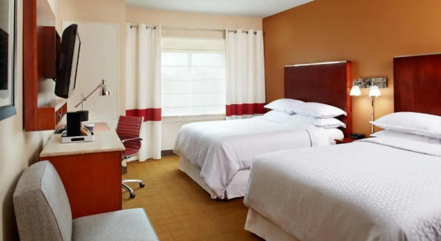 Четырёхместный номер Superior Four Points by Sheraton Houston Hobby Airport