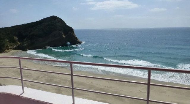 Двухместный номер Standard Tanegashima Iwasaki Hotel