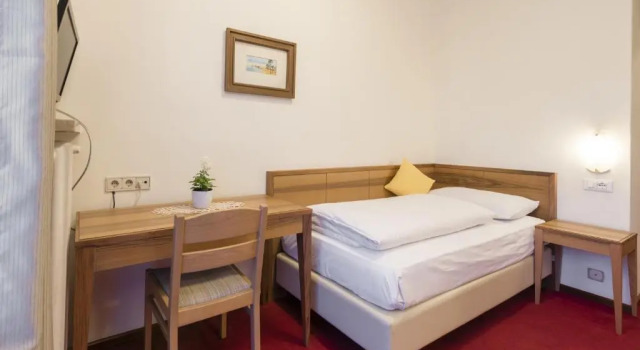 Одноместный номер Standard Hotel Elefant
