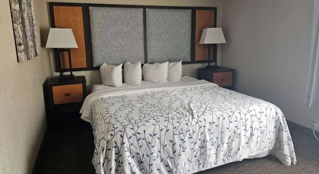 Двухместный номер Standard с видом на внутренний двор Americinn by Wyndham Birch Run - Frankenmuth