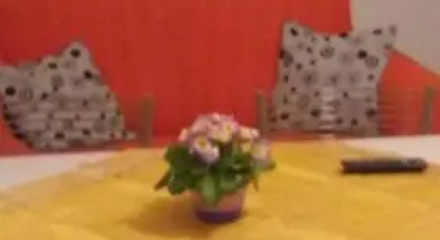 Casa Mia