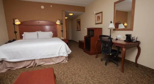 Номер Standard Hampton Inn Oneonta