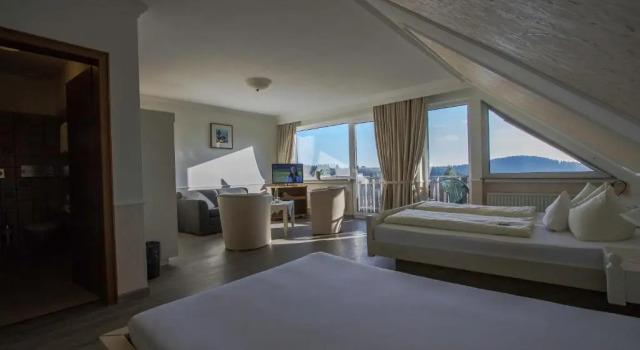 Трёхместный номер Standard Hotel Schneider