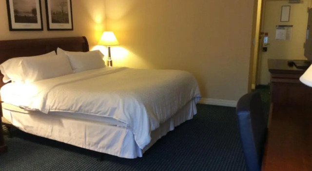 Двухместный номер Standard Four Points by Sheraton Wakefield Boston Hotel & Conference Center