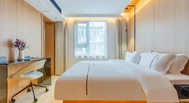 Люкс Business Yarxi Hotel (Shucheng Feixia)