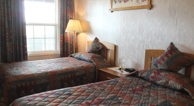 Standard chambre Forest Haven Inn