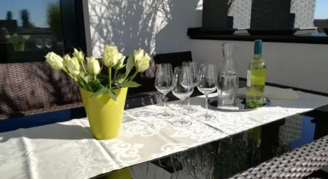 PENTHOUSE Griemann 2 für max 4 Personen mit eigener großer Dachterrasse zum Relaxen, Book Apartment Illmitz 