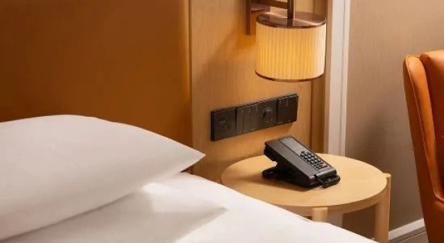 Люкс Deluxe Vienna Hotel