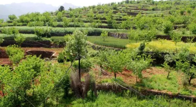 Shanyang Manchuan Chuanshan'e Homestay, Prenota Hotel Manchuanguan Cina