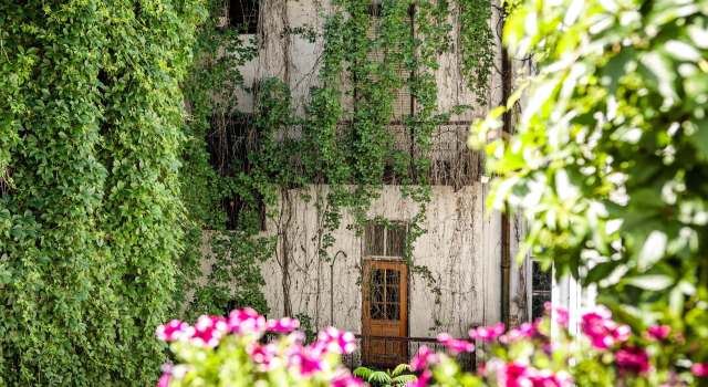 Platinia Apartments