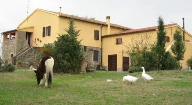 Agriturismo Casale DellAldi, Buchen Sie Hotel Hotels in Manciano mit Pool, Schwimmbad