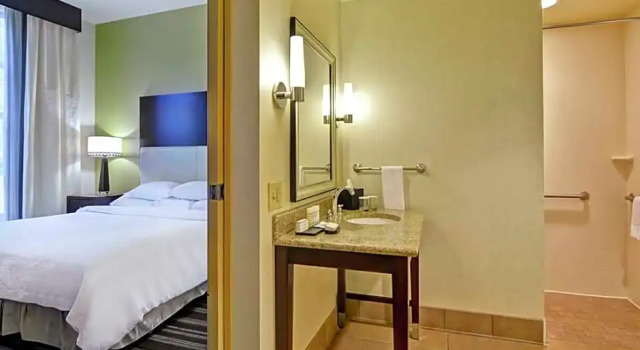 Двухместный люкс with Roll In Shower Mobility Accessible c 1 комнатой Embassy Suites by Hilton Savannah Airport