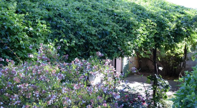 La Maison Des Invites, Prenota Hotel Pernes-les-Fontaines Valchiusa
