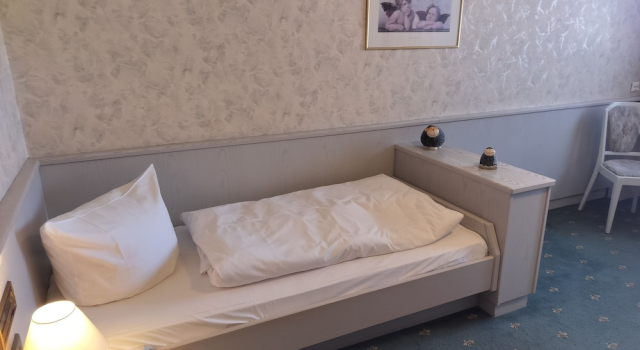 Номер Economy Hotel Hirsch
