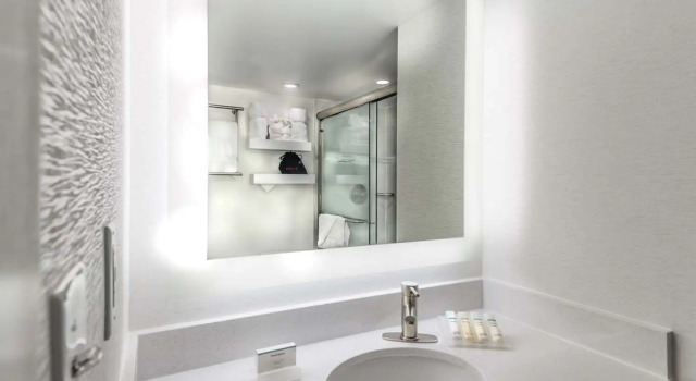 Четырёхместный номер Standard Hilton Garden Inn Reagan National Airport